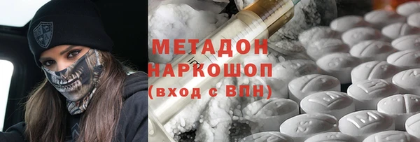 хмурый Пересвет