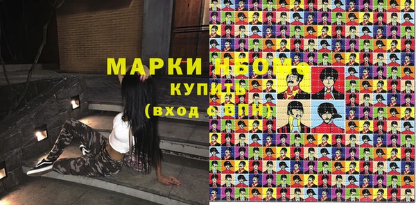 хмурый Пересвет
