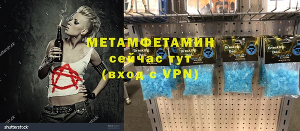 хмурый Пересвет