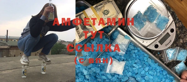хмурый Пересвет