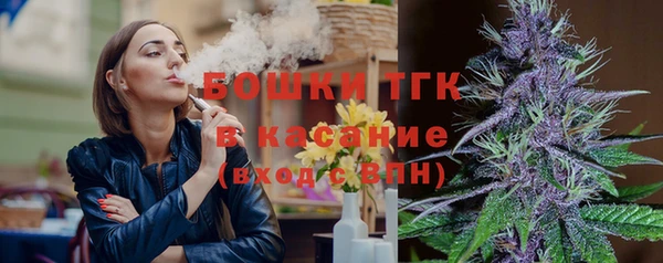 хмурый Пересвет