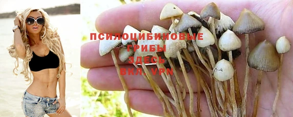 марки lsd Пестово