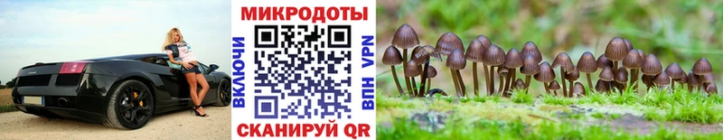 Галлюциногенные грибы Cubensis  Купить  Нефтекамск 
